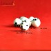 White Puppy - Handmade Glass Beads