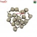 Hanging Sea Shell Design Brass Jingle Bell For Home & Christmas