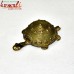 Lucky Charm Tortoise - Dhokra Art Home Decoration Paper Weight