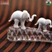 Tiny Elephant Family on Elephant Tusk - White Elephants - Glass Flameworking Artwork