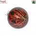 Window Pattern Christmas Decoration Ball - Indian Hand Painted Paper Mache Product