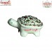 Baby Turtle - Khardaar Hand Painted Paper Mache Box - Customization Available 