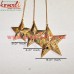 Golden Star Set of 3 - Christmas Tree Hanging Ornament Decor - Hand Painted Custom Designs