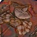 Kaatyayani Maa Durga - Fabulous Depiction on Metal Sheet Copper Repousse Art